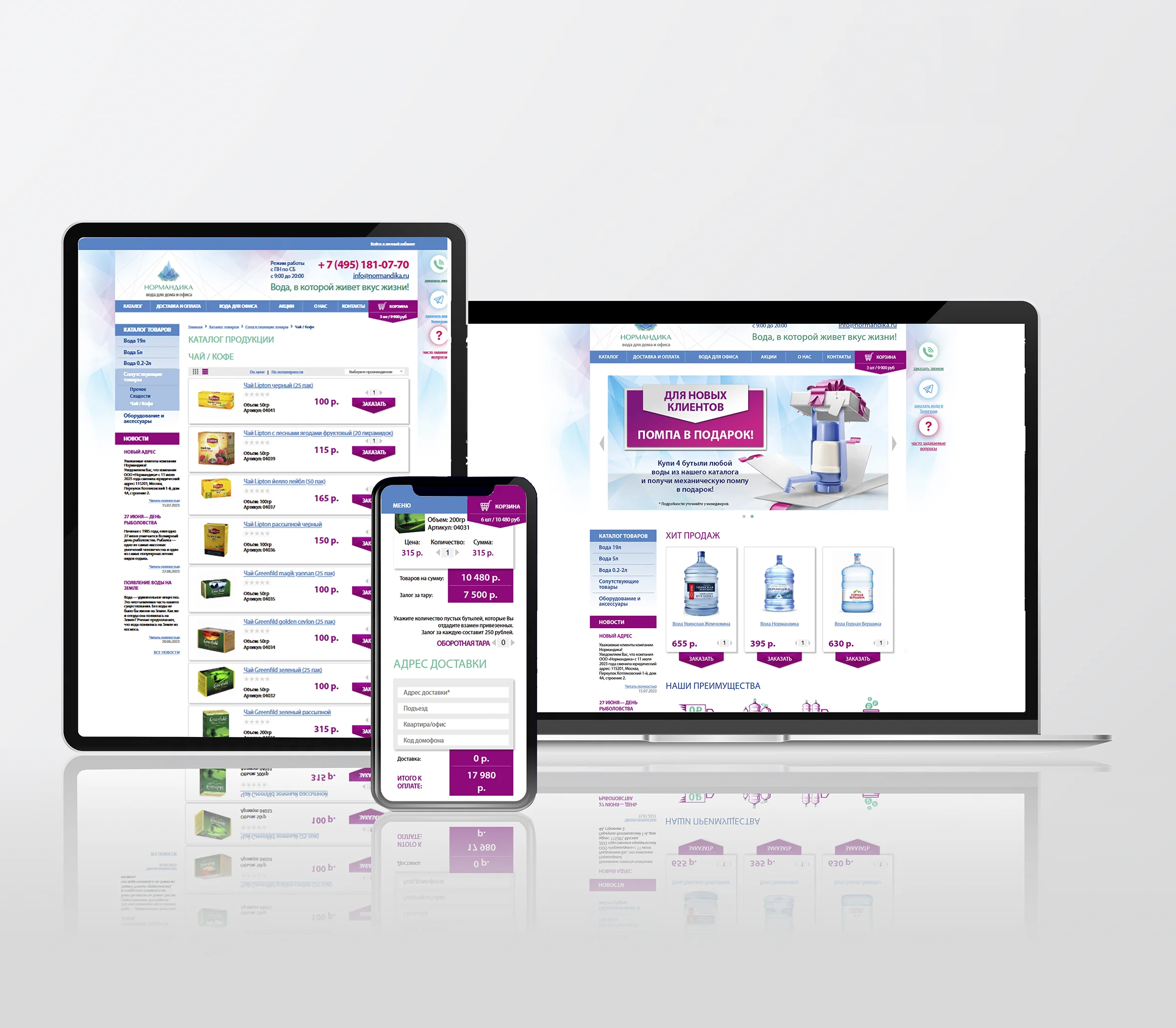 Normandica Website Design - Clean and professional visuals