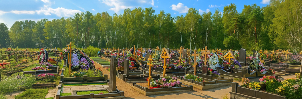 Горкинское кладбище (Ленинский городской округ, Московская область)